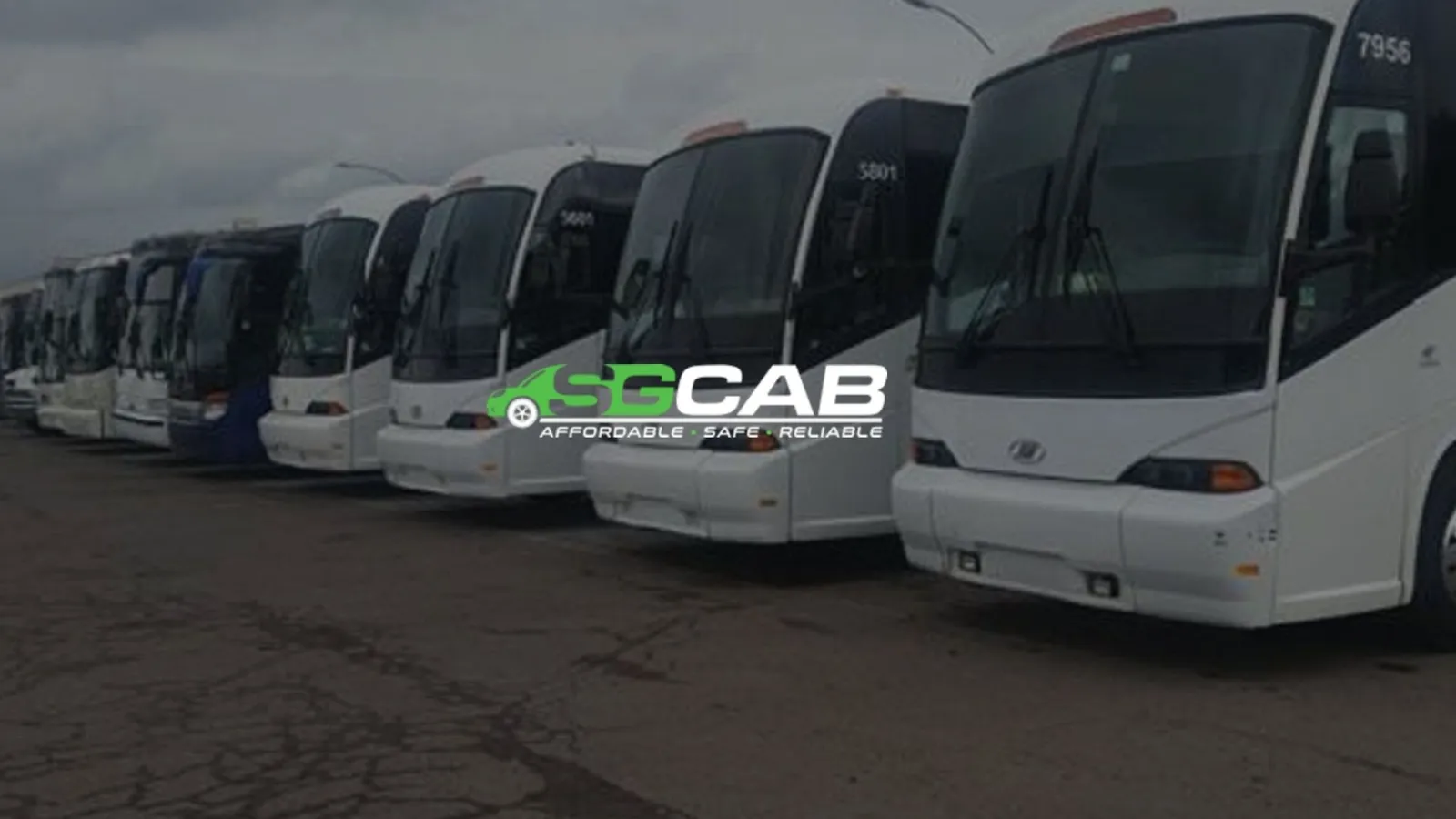 SGCAB coaches lined up, ready for charter
